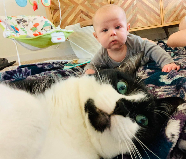 296868576eb5638e3ebfb85de2 296868576eb5638e3ebfb85de2