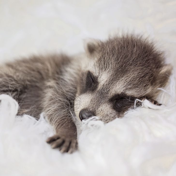 296886520384a578695cdb9b60