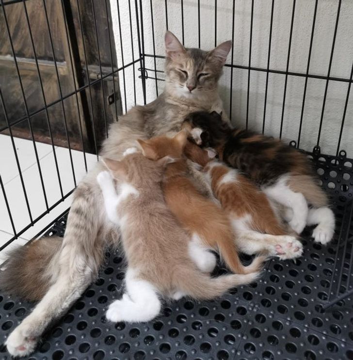 296a4d529e8cc12223ea523552