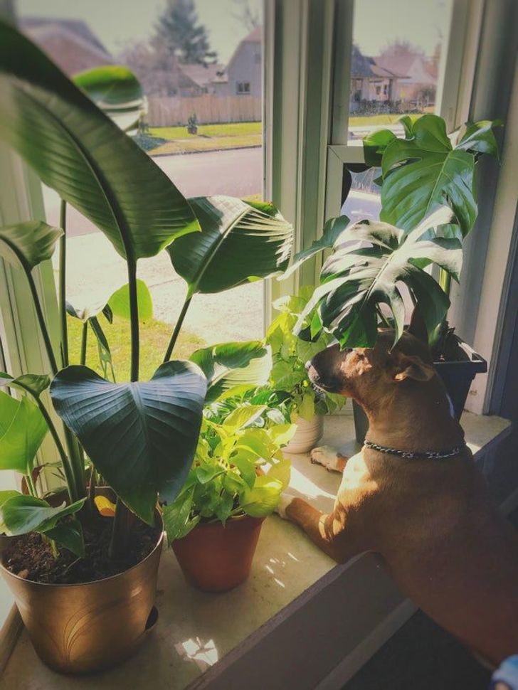 296b1a53c1a3384c53776f9b2b