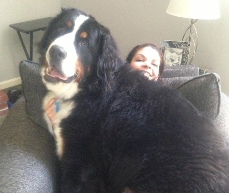 296d225f44adbeaa80607c9a73