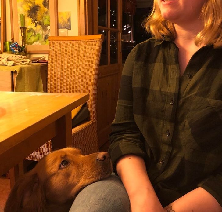 2976c55261b8e272d7be6d3f01