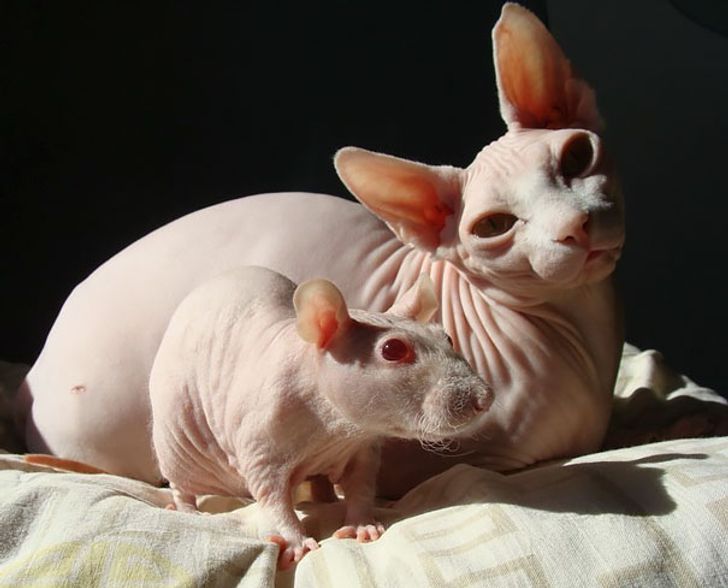 2984ac5589a558ae47dd878e8f