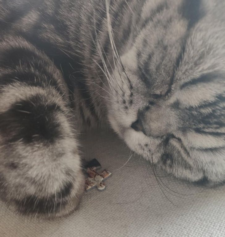 29884a5564a26f3f18f4a47bef