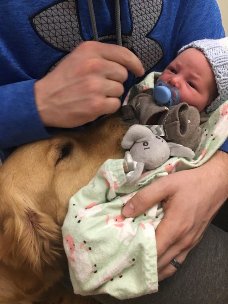 29900f5c379140d89afe9c3a42