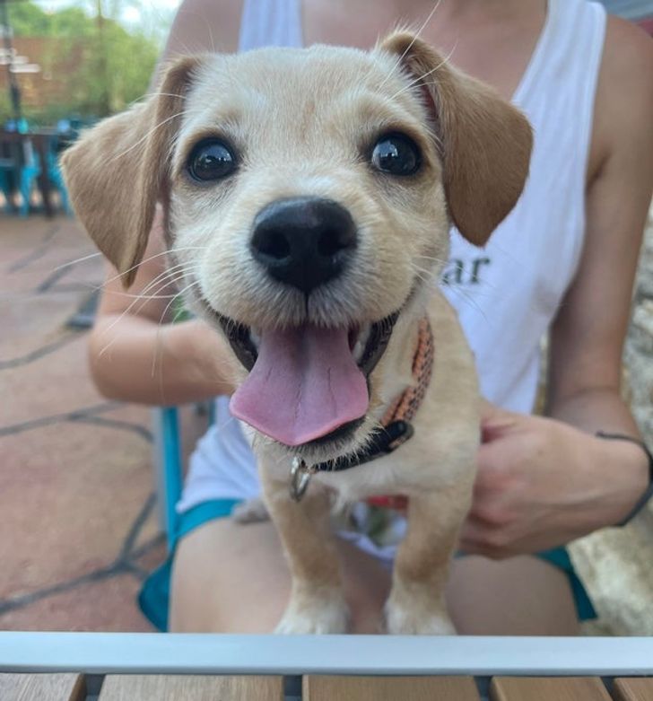 2995625bf9a24e23d85714b301