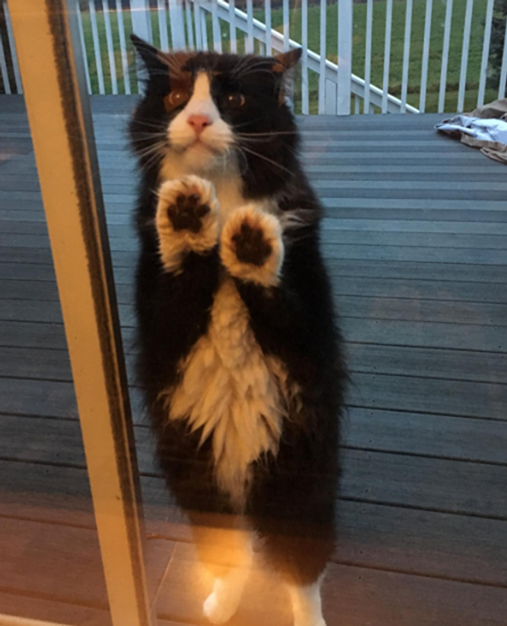 29969652679fe1b467bda50485