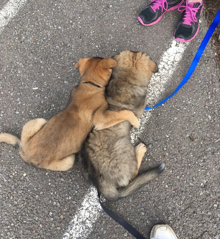 299c0d5e418770746d0e2f6328 299c0d5e418770746d0e2f6328