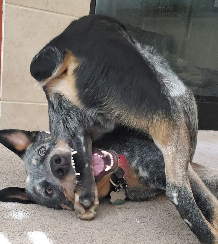 299fd05bd8b1590eb741892b58