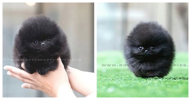 299fed50f0b30672fe7039db7a