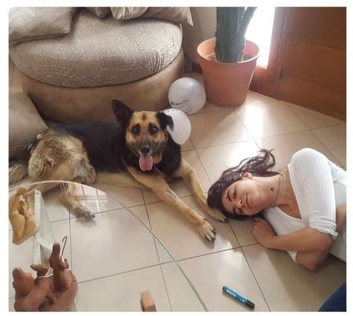 29a38c5b8e9b380bac2c65940b