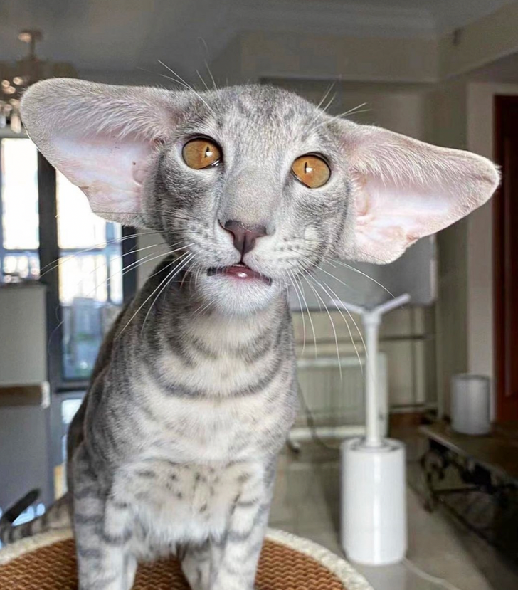 29aebe5256960376c78e7a64a6 29aebe5256960376c78e7a64a6