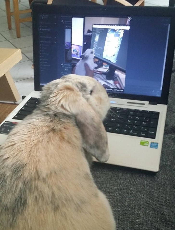 29badf572a8efcb84238aa35db