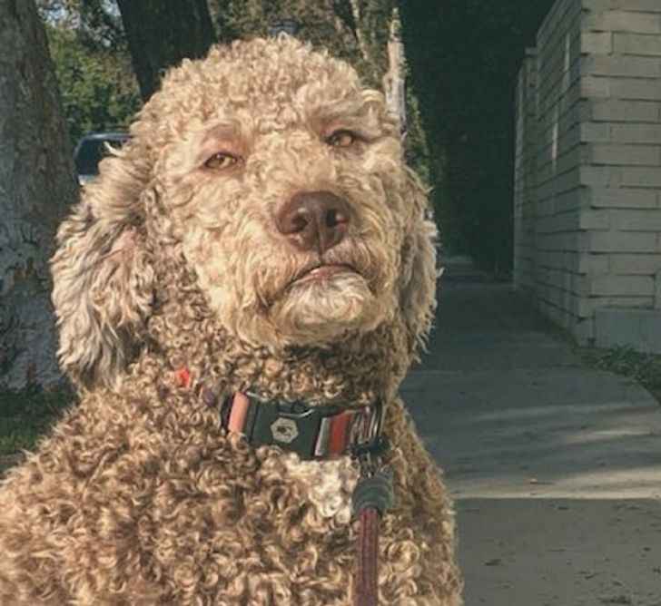 29bcc057289156c91b9d8759b5