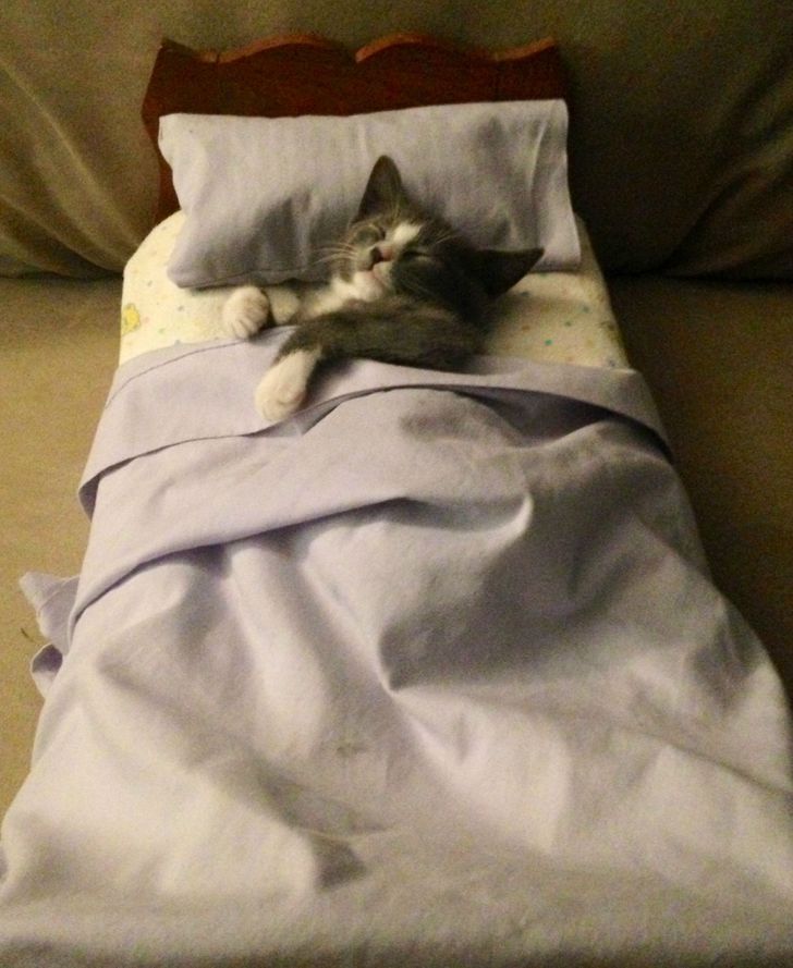 29bf195bdb8967e082ea7b9666 29bf195bdb8967e082ea7b9666