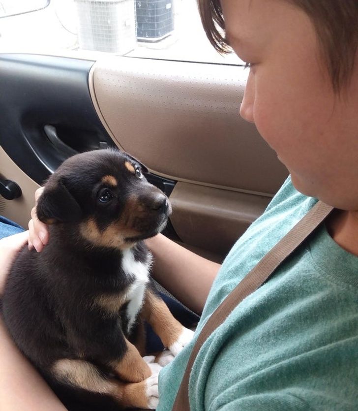 29c5255e6191958aff6b07e1d9