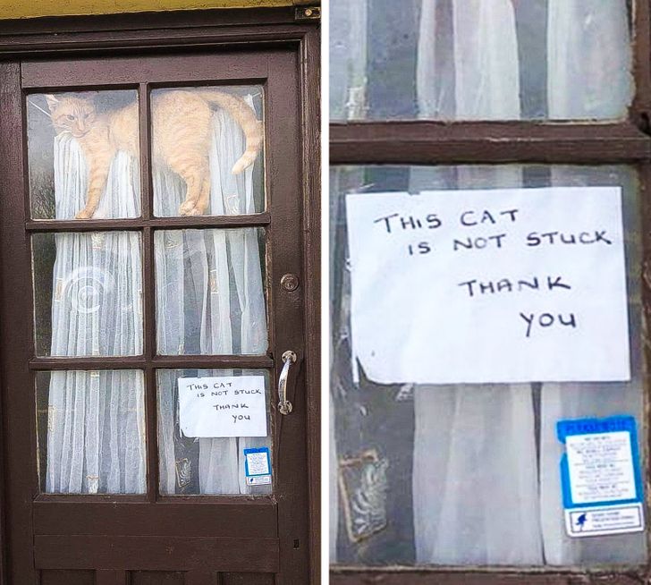 29c9565b7787bf0acbf567468f