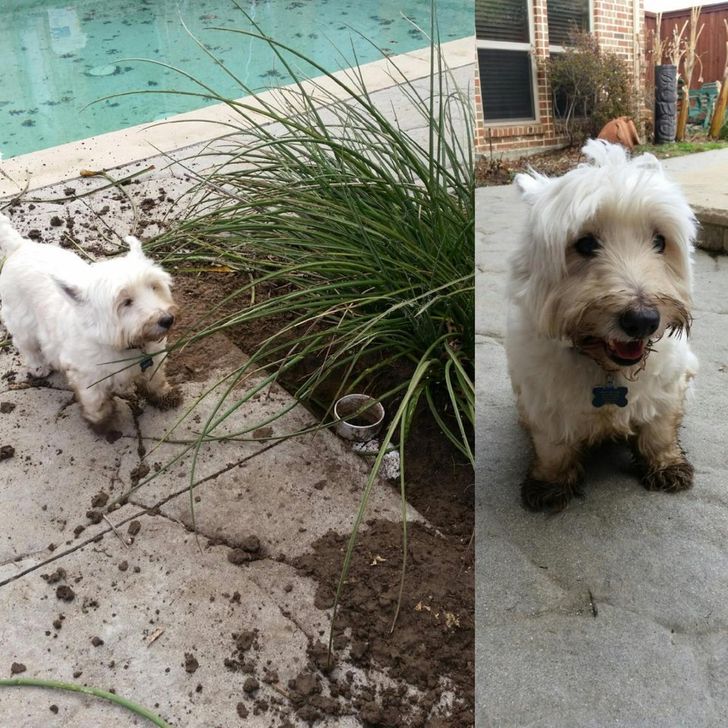 29ca345c54814c20b1d3628718