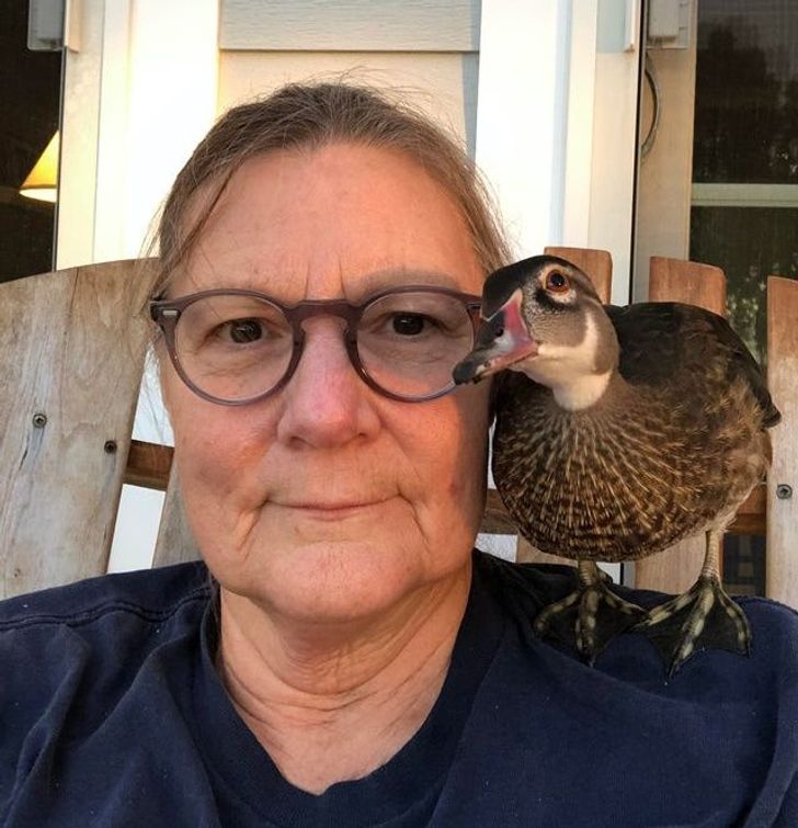 29cd2a5652922b845c928f359c