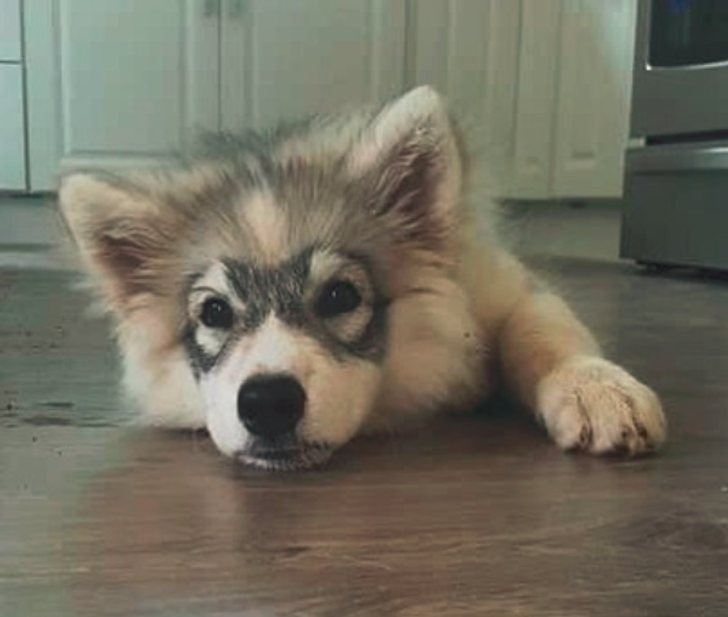 29d1d050ee942598faca6bbc75