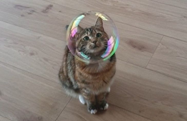 29d31757778d85232fcaf91d53 29d31757778d85232fcaf91d53