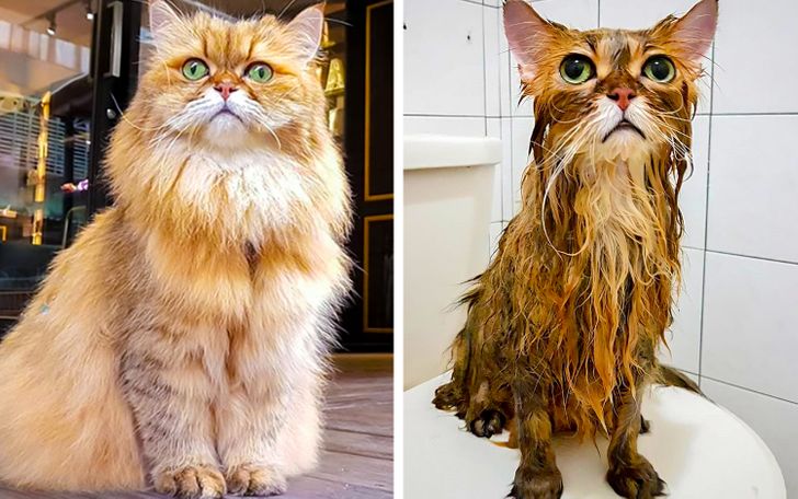 29d3d656dd8cfcfca2df487dd0