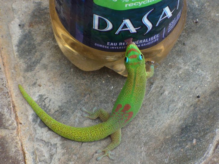 29d98e54f9b9800fe6050bd0a8