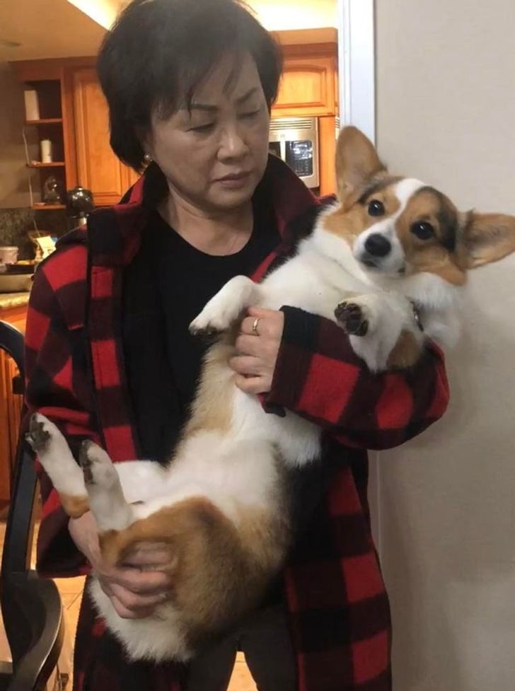 29deba540aa418fbe7f5773bc4