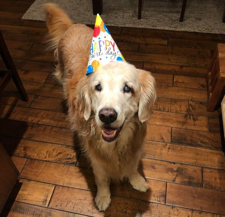 29ded45460a5288108f5e3a15f