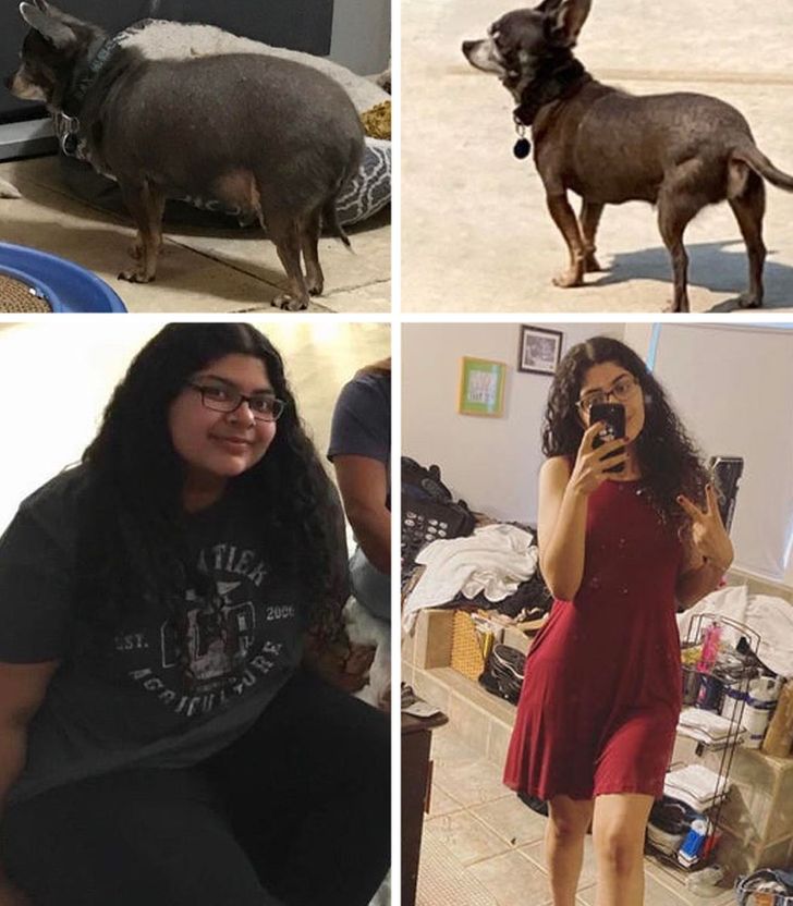 29e3e25d4dbe03e182c049324d