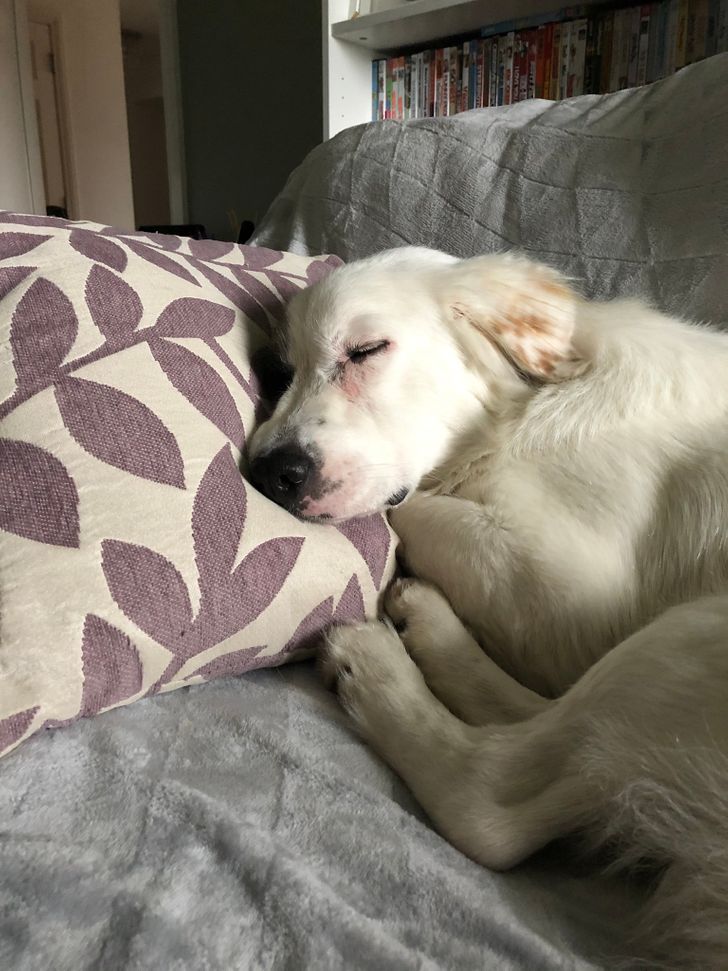 29ea3954879ba379429f4010fc