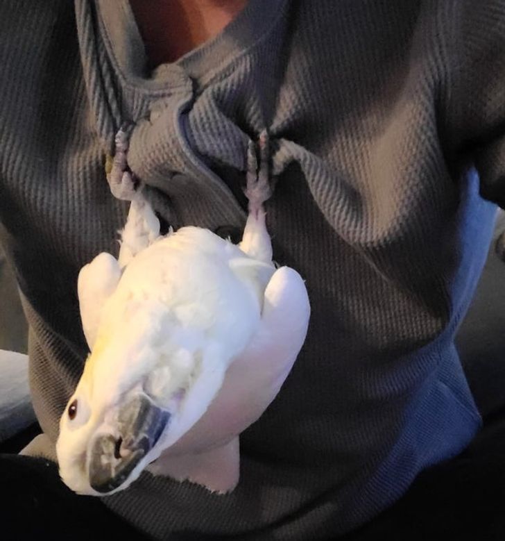 29f320518a970bc72824f5091a