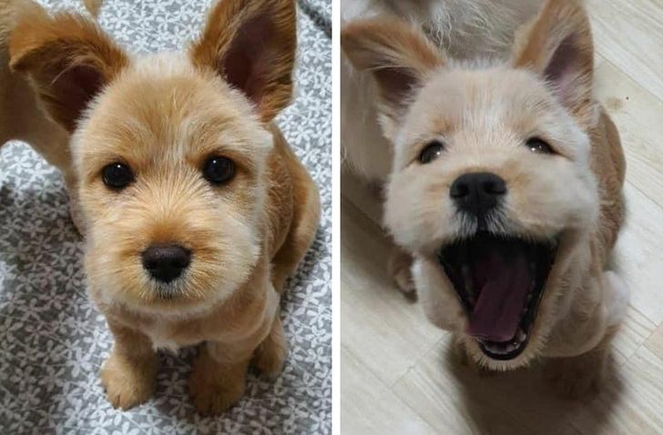 29f77d550f8683fc7bb22d6cdb