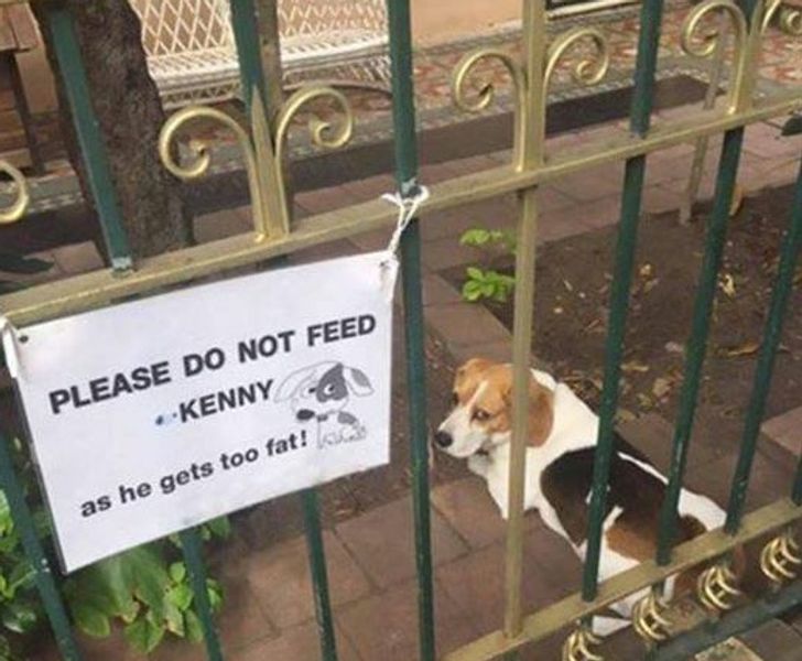 29fc6458468669d92e4349ef41