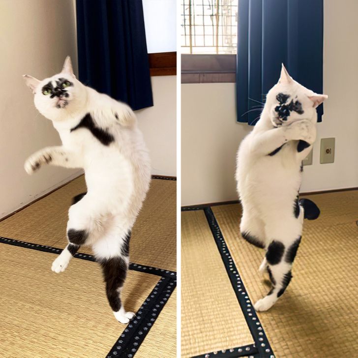 29ffd558c3befccf8d77c28d1f