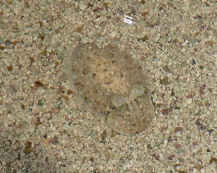 2a02d757d98b978f22116a3bf2