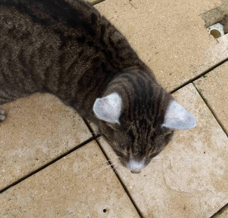 2a05cf560aaa508a7e0b66800c