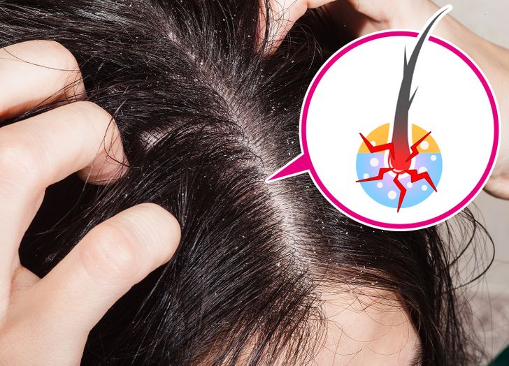 2a0f815c4792f461a82fddc059