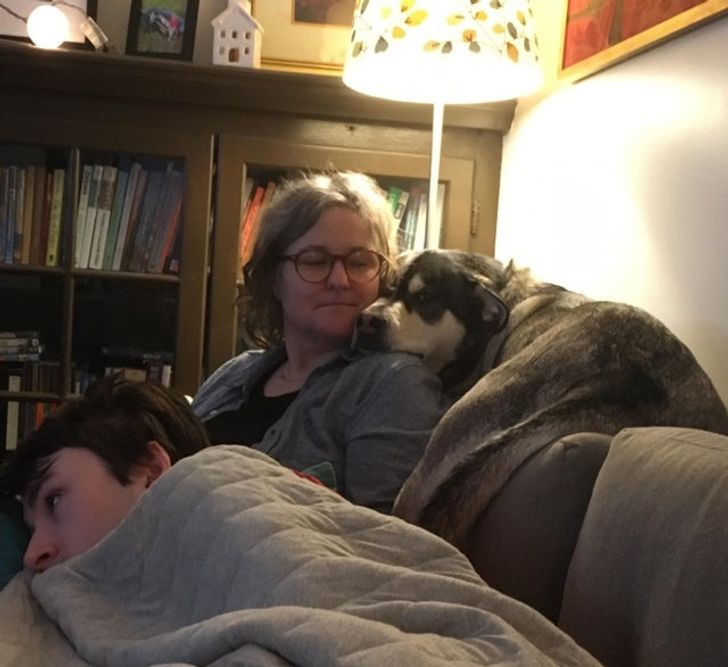 2a11ca5b85956b406b7f425f15