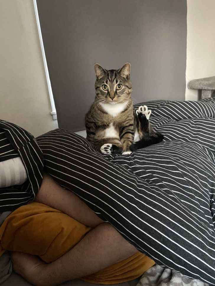 2a161f555fa3873d8fc0b63947