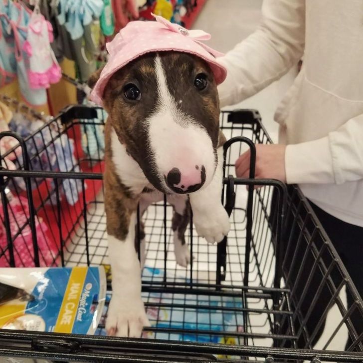 2a1a5c53549c31017d1eea0372