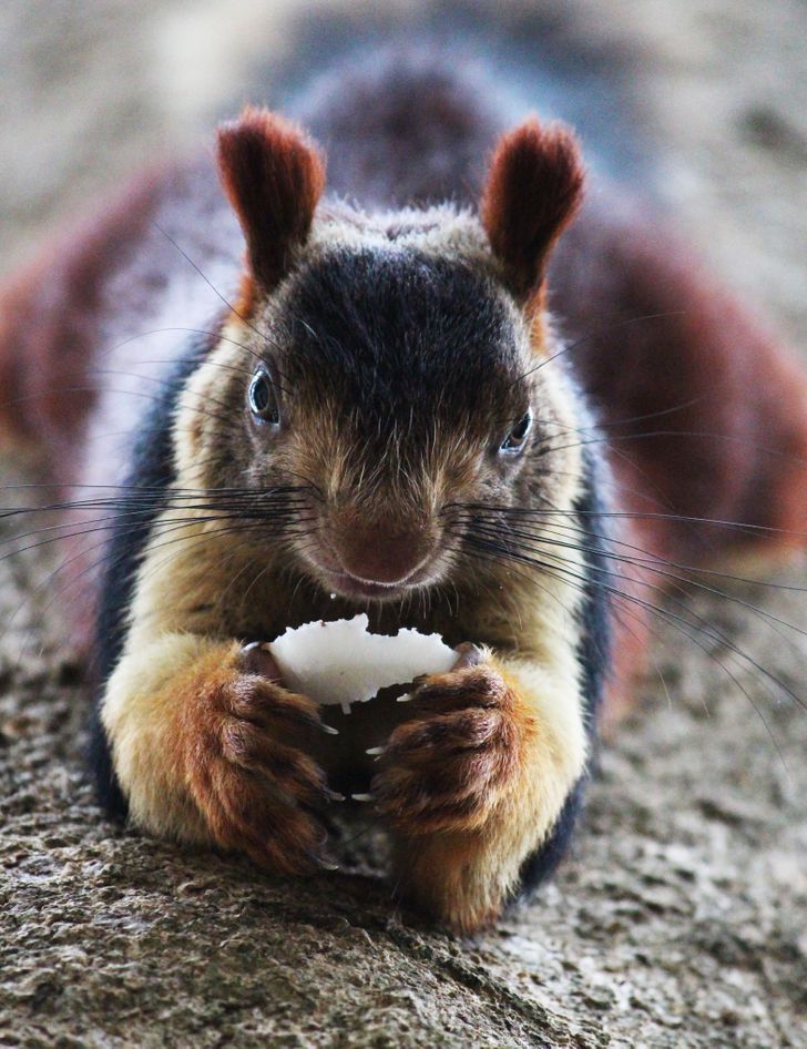 2a1f825940b196651e4f776a02