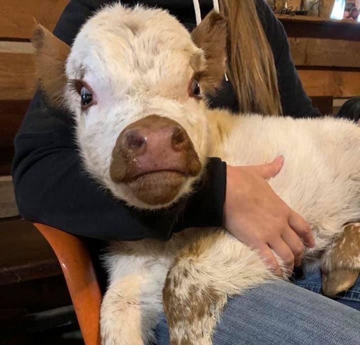 2a276d591691bd614a6456907c