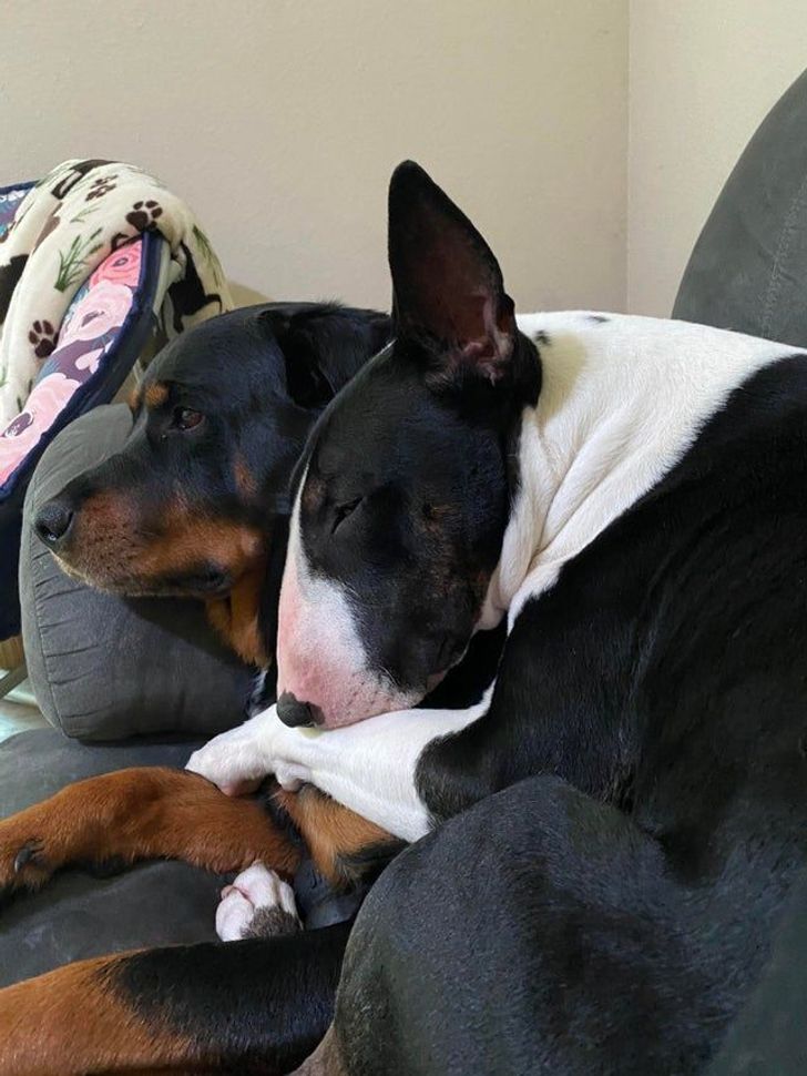 2a2f125d7a86cd5388abb10837