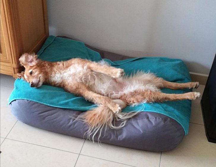 2a33395442bfdf3c0cefa05418