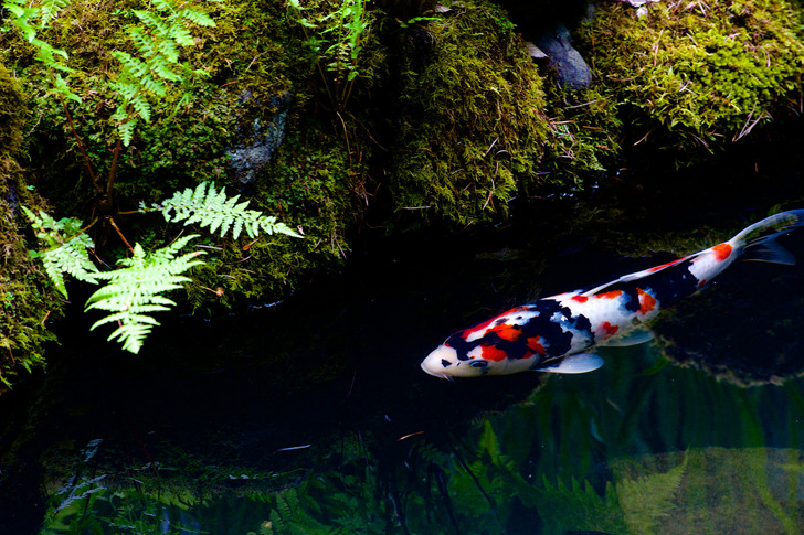 2a3647551cb77ed9358487d05f