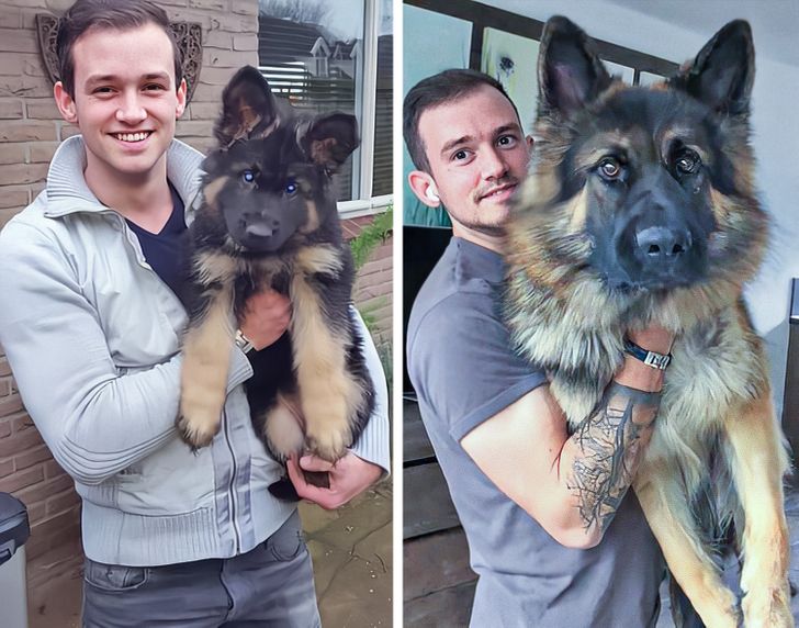 2a36d45fec81e982a819cccbd3