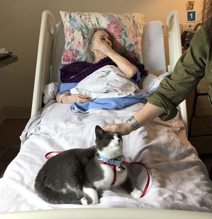 2a3cf25e47940444621d05fc8c