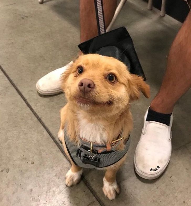 2a3ef25b1497f519d48480abeb