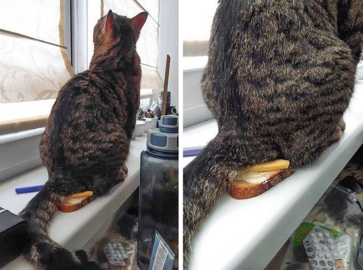 2a40d05437b4d5ab0023bb9da2